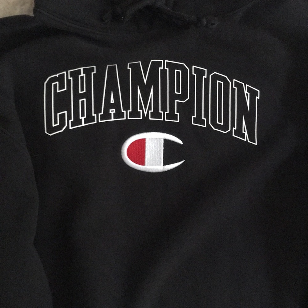Champion crop top hoodie